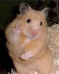 Inserto Harmonies